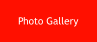 Photo Gallery
